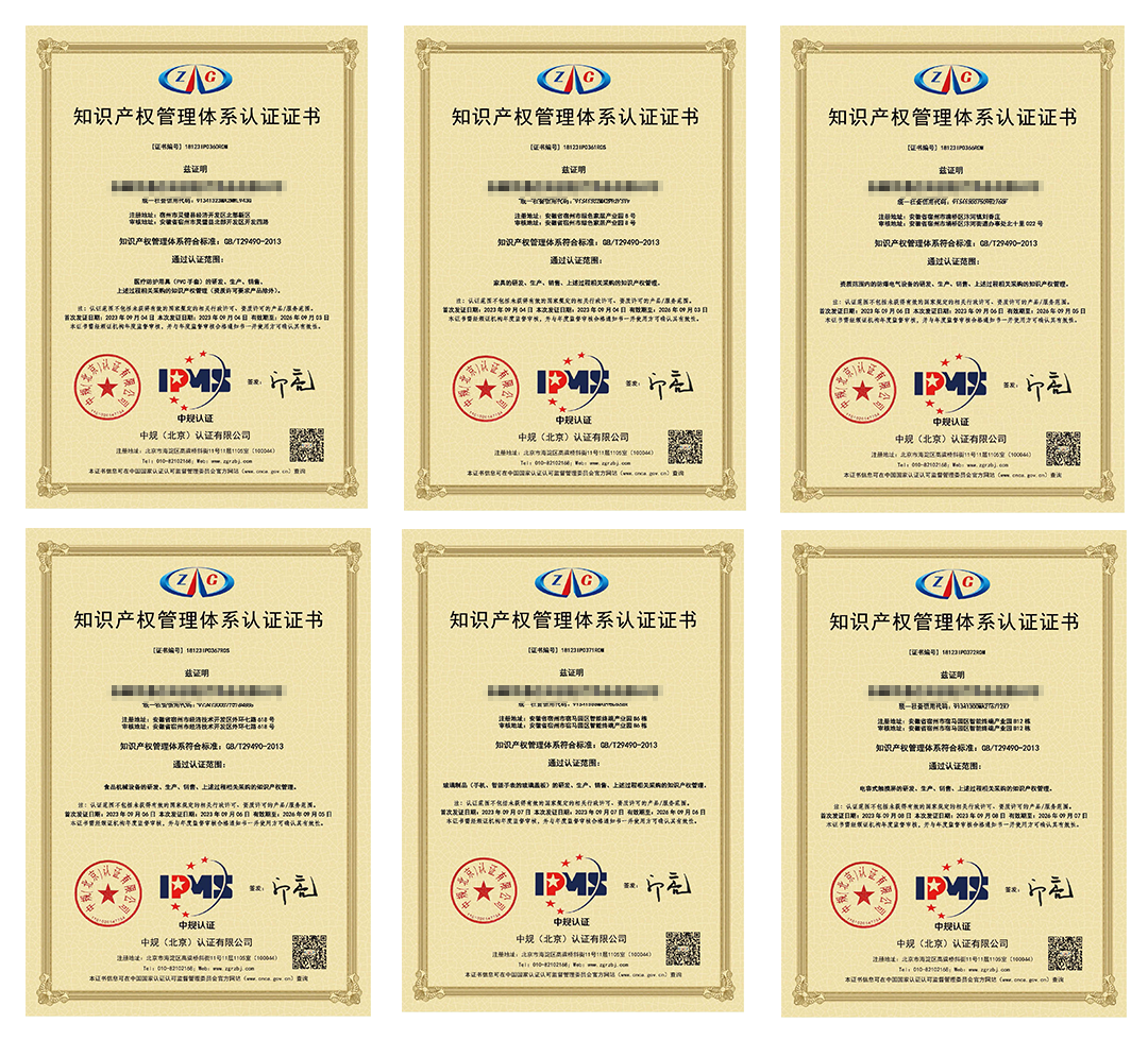 喜讯！安徽万硕科技产业（集团）有限公司辅导6家企业顺利获得《知识产权管理体系认证证书》